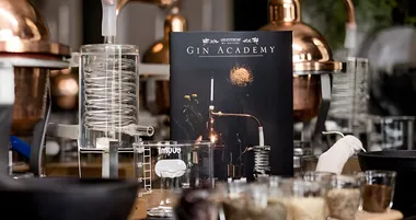 gin academy