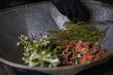 02 fynbos ingredients